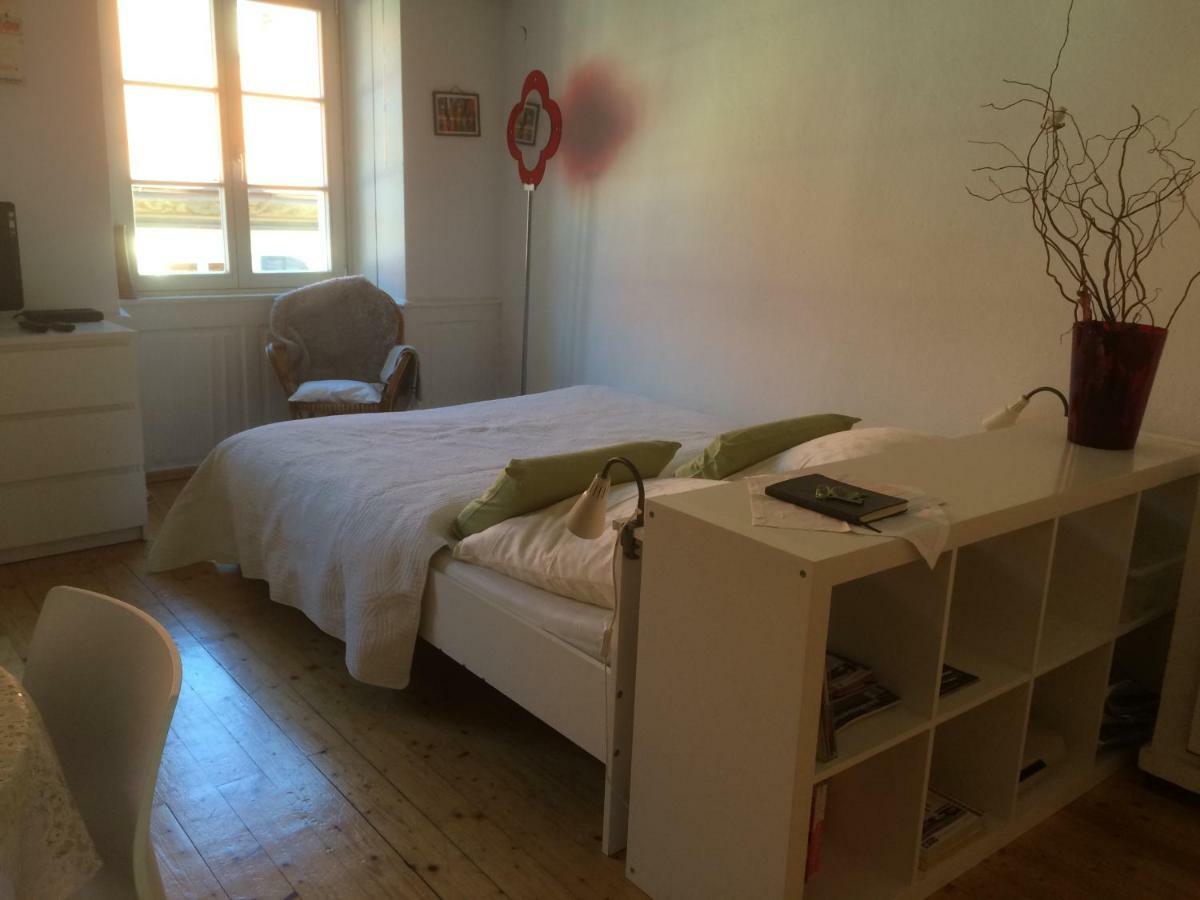 Zum Gruenen Lindenbaum Z5B Apartment คอนสตานซ์ ภายนอก รูปภาพ